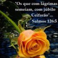 /album/galeria-de-fotos-noticias1/a475191-mensagens-evangelicas-para-facebook-20-jpg/